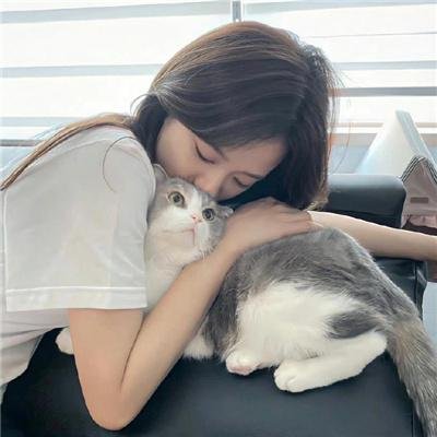 猫和老鼠50周年纪念版